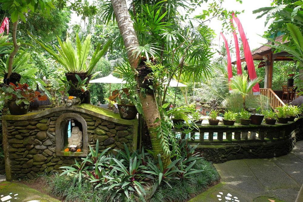 Ketut'S Place Bed & Breakfast Ubud Екстериор снимка